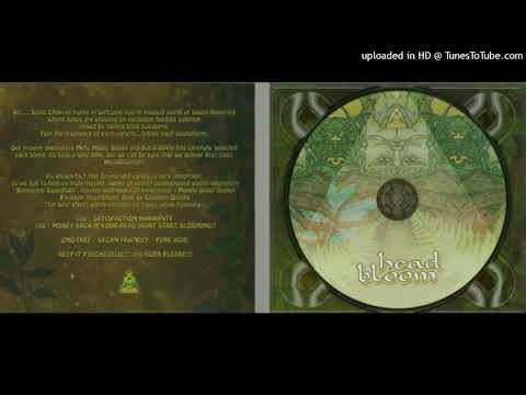 AnnoyingNinjas - Kameltå