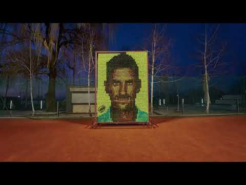 ジョコビッチの記録を祝うファン (Fans celebrate Djokovic's record)