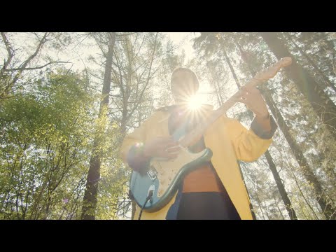 Emil Szwajk - Mobilem