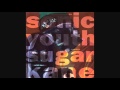 SONIC YOUTH - The End of the End of the Ugly [From the 1992 USA "Sugar Kane" EP][audio]