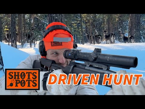 DRIVEN HUNT IN SWEDEN