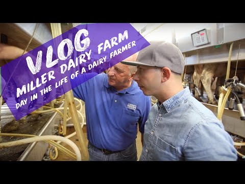 download lagu mp3 mp4 Miller Dairy, download lagu Miller Dairy gratis, unduh video klip Miller Dairy