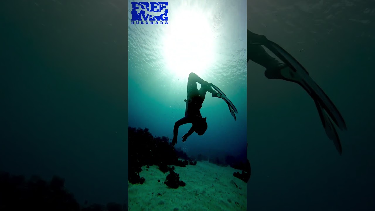 Freedive with us in hurghada