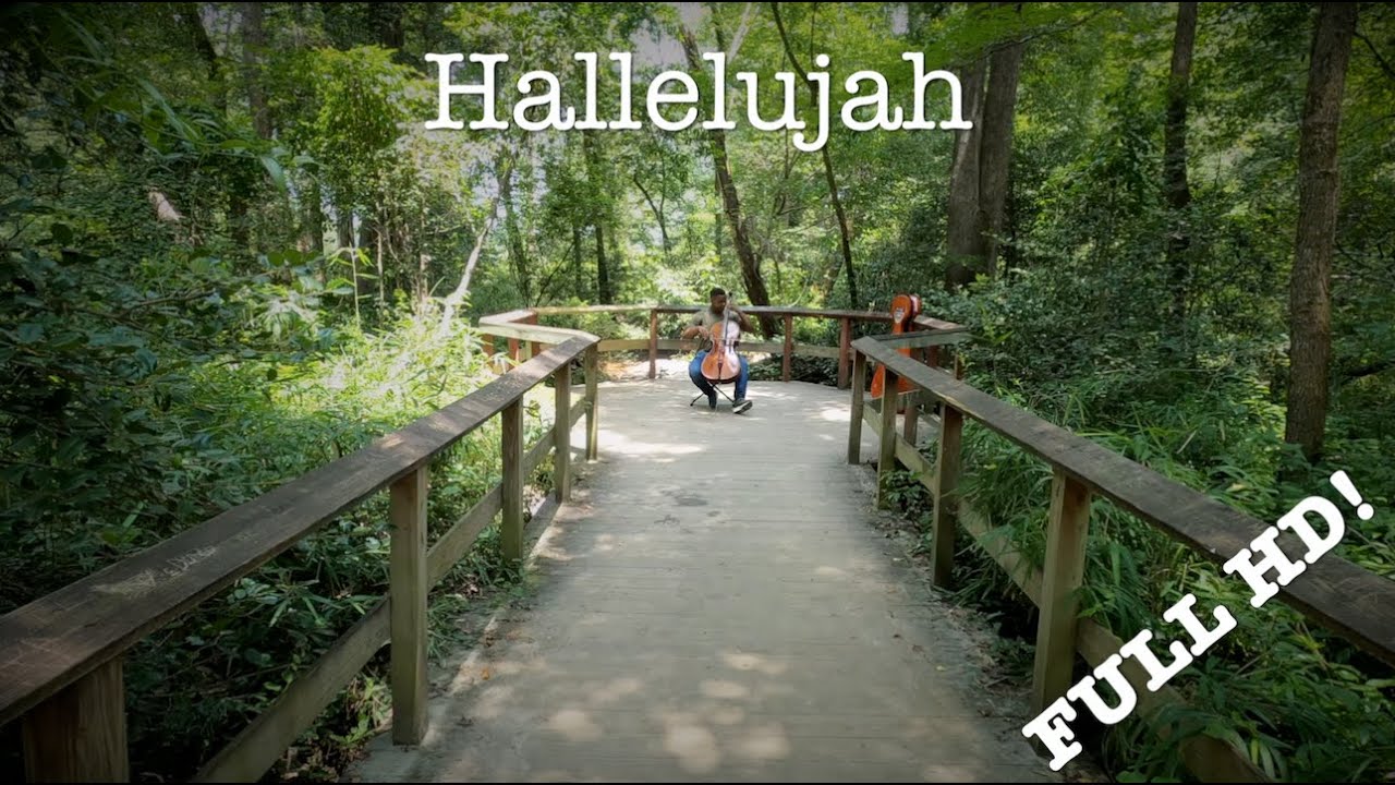 Promotional video thumbnail 3 for Dion Perinon's Cello Services