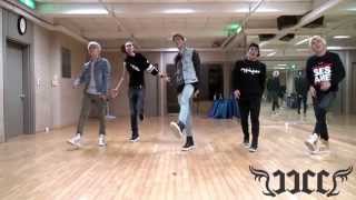 JJCC ShaShaNe 샤샤네