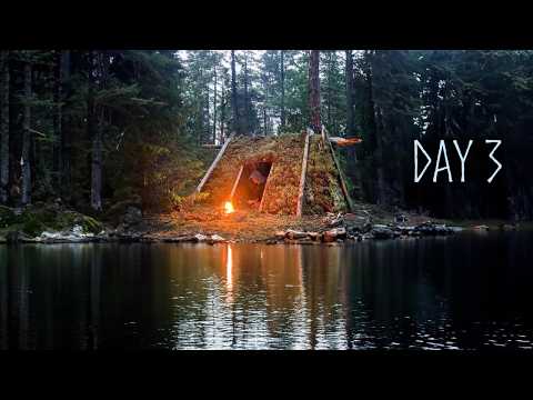 3 Days Building a PRIMAL House to Survive a Wild Island! (No food)