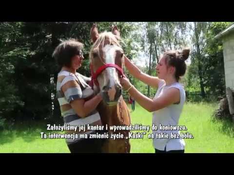 Ból mięśni za kolano Zerwał mięsień w objawach nóg