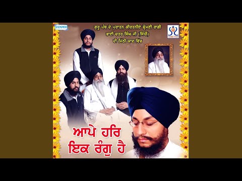 Aape Har Ek Rang Hai