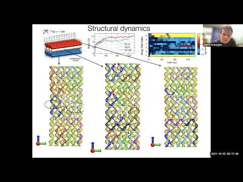 Aleksei Aksimentiev - Nanotechnology with molecular simulation