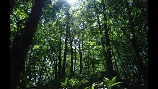 rain stops, good-bye を英語で歌ってみた [EVO+]