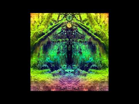 Noizebug - The Cosmos Welcomes You