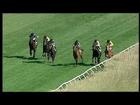 Napoli Galoppo 16/02/2021 - 1ª corsa