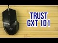 Trust 21044 - видео