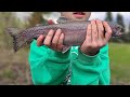 Video Thumbnail for Pond fishing with the Kids for  Rainbow trout#catchandrelease #trout #troutfishing