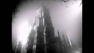 † Blood W⚤lf † - Wounded Wing