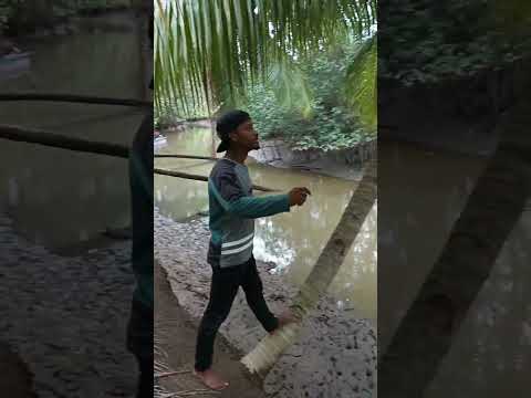 Mi Gente En una nueva aventura En El #Cantón Eloy Alfaro #Limones De Mi Provincia Esmeraldas 