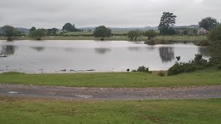 preview picture of video 'UK Day Walk 4: Wye Valley - South of Trericket Mill (2D)'