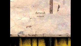 Daturah - Hybrisma