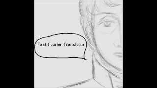 Fast Fourier Transform (Phase Ⅰ & Ⅱ) / COPAN