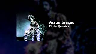 Assumbração - Zé das Quantas (Áudio Oficial)