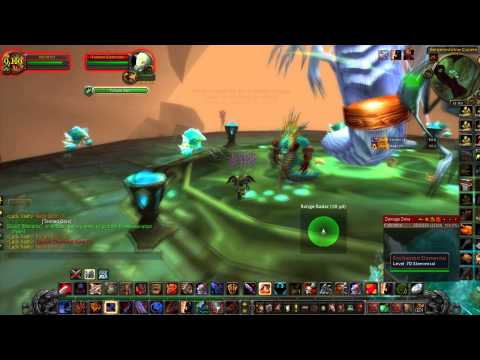 Lady Vashj the Final boss in Serpentshrine cavern as a fury warrior solo