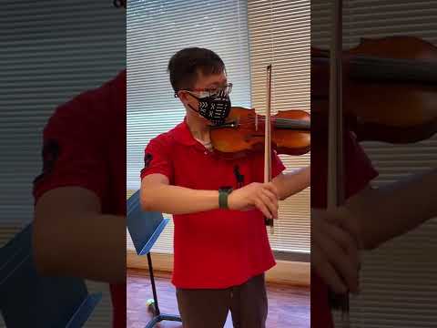 Hiroshi Kono NEW Japanese viola image 4