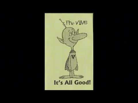 The V.I.M.S. Gay DEMO