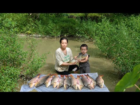 Single mother and baby - draining the abandoned pond to catch big carp