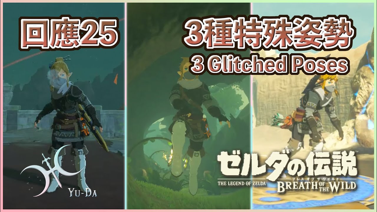 回應25 - ＜流氓 × 猩猩 × 優雅＞ 林克的3種特殊姿勢！