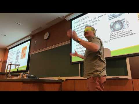 BIOL 105 Lecture 15 9/30/26
