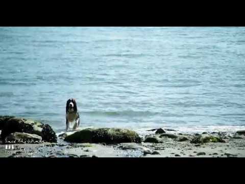 Video thumbnail for Love Always