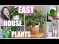 Top 5 House Plants For Beginners 2020