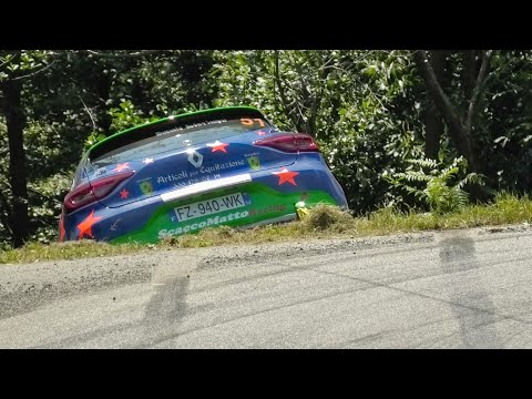 Rally Lana 2021 • Post crash, Action & Mistakes