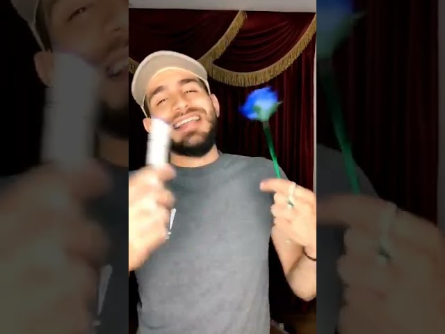 Vídeo relacionado con Aparición de una Rosa con vídeo explicativo para su fácil comprensión Trucos de Magia coleccionables