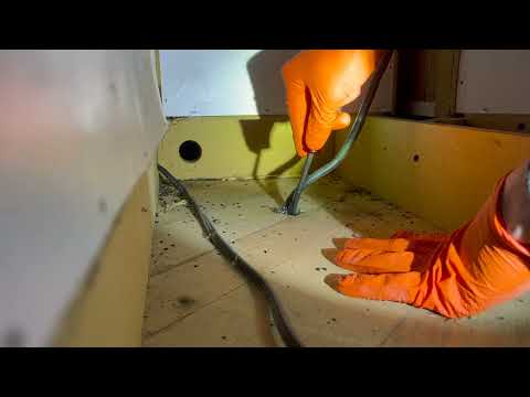 Returning & Closing Up the Mice Entry Points Inside Home in Trenton, NJ