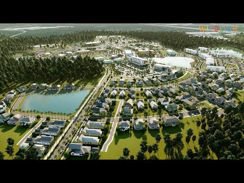 Building the Future of Wildlight