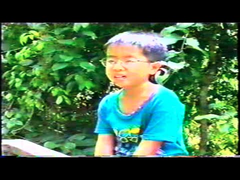 鏗鏘集 - 在森林和原野 // Hong Kong Connection - In the Forest and Fields (1993)