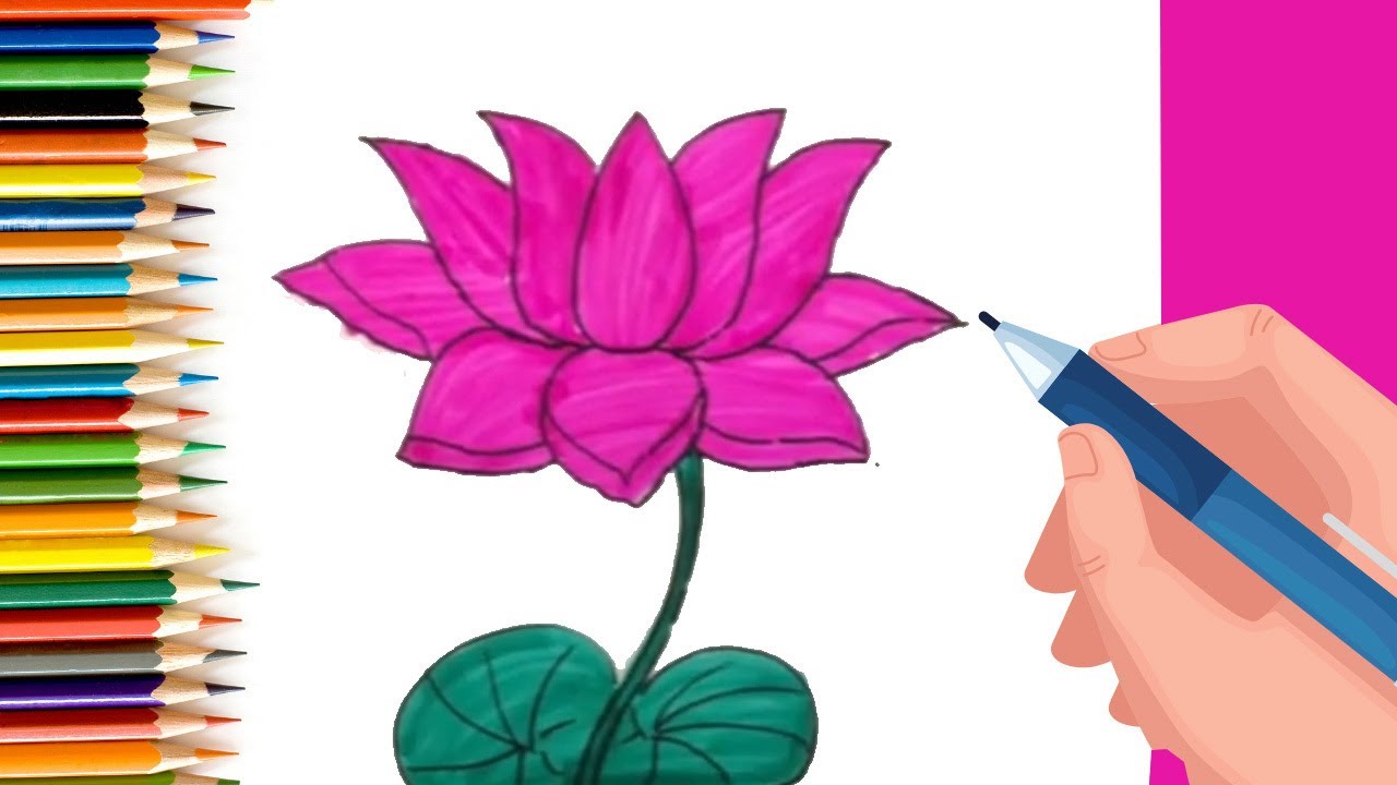 How to Draw a Lotus Flower