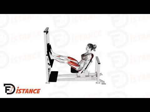 Exercice Presse à cuisse horizontale