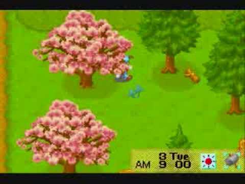 download lagu mp3 mp4 Tips And Tricks Harvest Moon Friends Of Mineral Town, download lagu Tips And Tricks Harvest Moon Friends Of Mineral Town gratis, unduh video klip Tips And Tricks Harvest Moon Friends Of Mineral Town