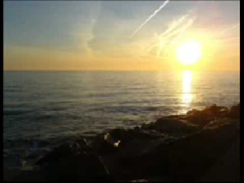 John Gary Williams - The Whole Damn World Is Going Crazy