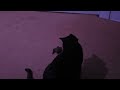 BAT Vs CAT