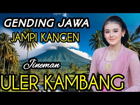 [JINEMAN ULER KAMBANG]GENDING JAWA JAMPI KANGEN‼️