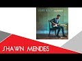 Mercy (Instrumental) - Shawn Mendes