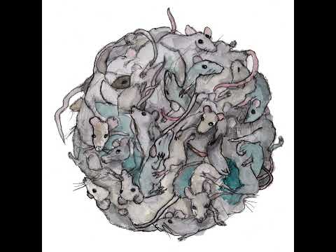 Beffaná 2021 (Staffel 6, Folge 1): Der Rattenkönig