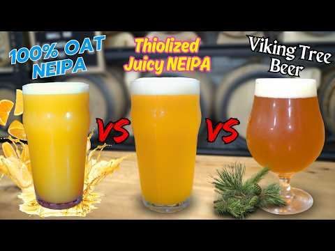 Juicy NEIPA, OAT IPA or VIKING Tree Beer! Which is best!?