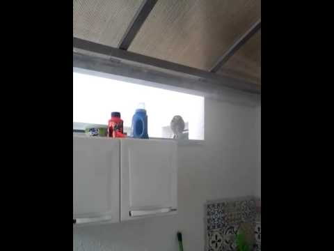 Gente  apareceu uma coruja aqui ....!! ♡