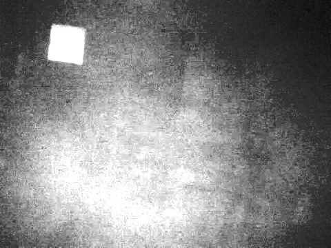 Pelican Alley Restaurant Video 1