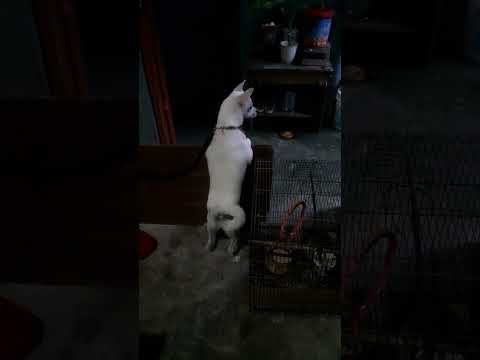 keanna po name pero maritess