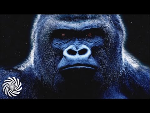 Open Source - Psycho Meditation